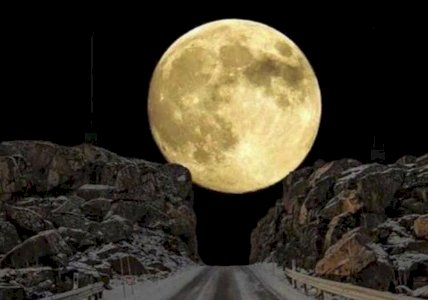 توصيل الطلبات في الرياض