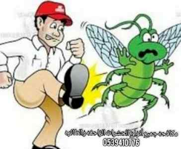 تنظيف المنازل ومكافحه جميع أنواع الحشرات 