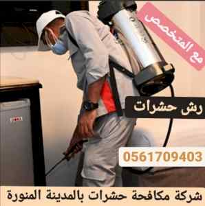 شركة مكافحة حشرات بالمدينة المنورة 0561709403