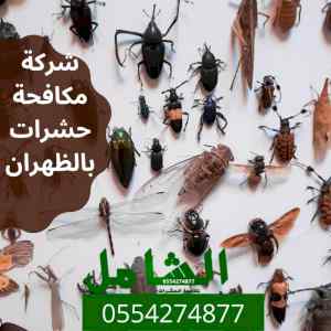 شركة مكافحة حشرات بالظهران خبرة 15 عام