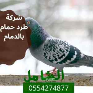 شركة طرد حمام بالدمام باحدث الاجهزة