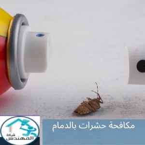 افضل شركة مكافحة حشرات بالدمام