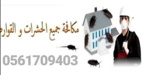 شركة مكافحة حشرات بالمدينةالمنورةباقل الاسعار