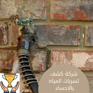 شركة كشف تسربات المياه بالاحساء خبرة كبيرة