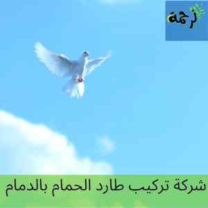 افضل شركة تركيب طارد الحمام بالدمام