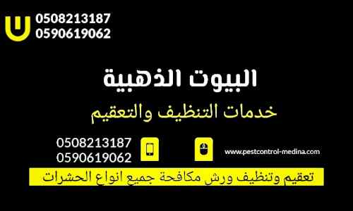 شركة مكافحة النمل الأبيض بالمدينة المنورة 