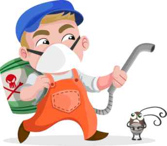 شركة مكافحة حشرات ينبع 0561709403 رش حشرات