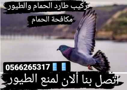 شركة تركيب طارد الطيور بالمدينة المنورة 