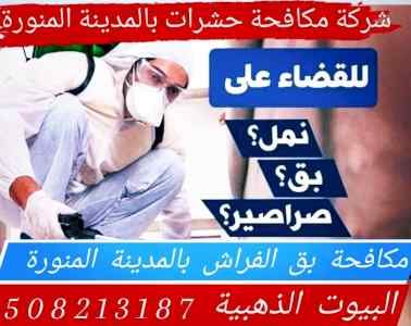 شركة مكافحة الجراد بالمدينةالمنورة 0590619062