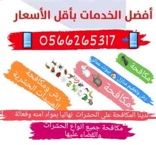 شركة رش الوزغ بالمدينة المنورة 0566265317