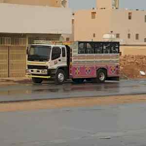 دينا نقل عفش شمال الرياض 0504609056 نجار فك و
