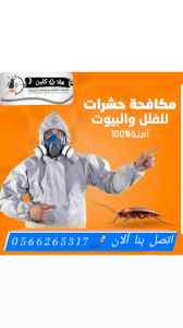 شركة مكافحة عقارب بالمدينة المنورة0566265317