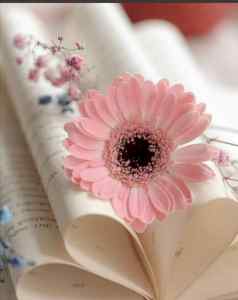 شراء اثاث مستعمل شرق الرياض 0531962069